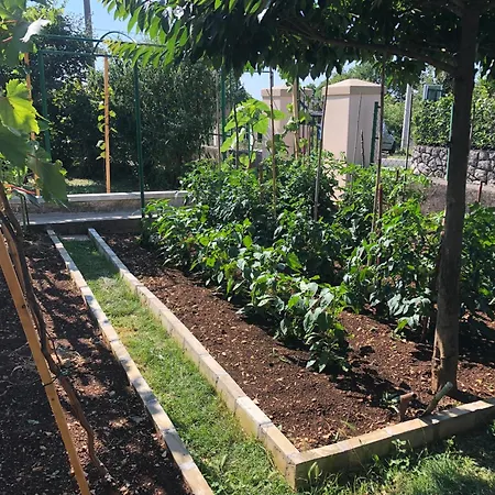 Casa Fiumana Laura *