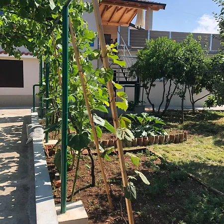 Casa Fiumana Laura Apartmán